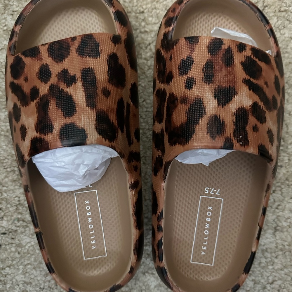 Yellow Box Zolah slides